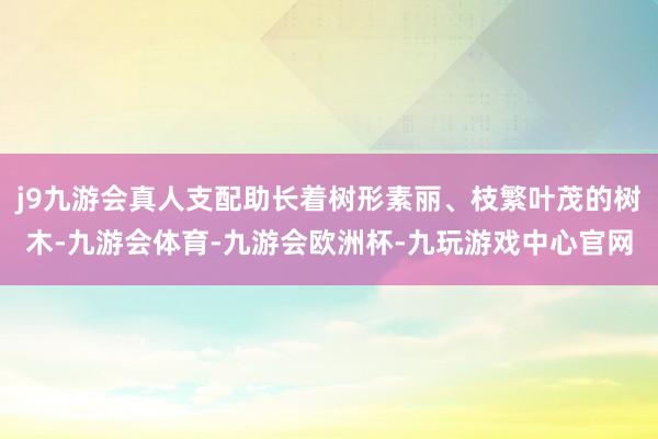 j9九游会真人支配助长着树形素丽、枝繁叶茂的树木-九游会体育-九游会欧洲杯-九玩游戏中心官网